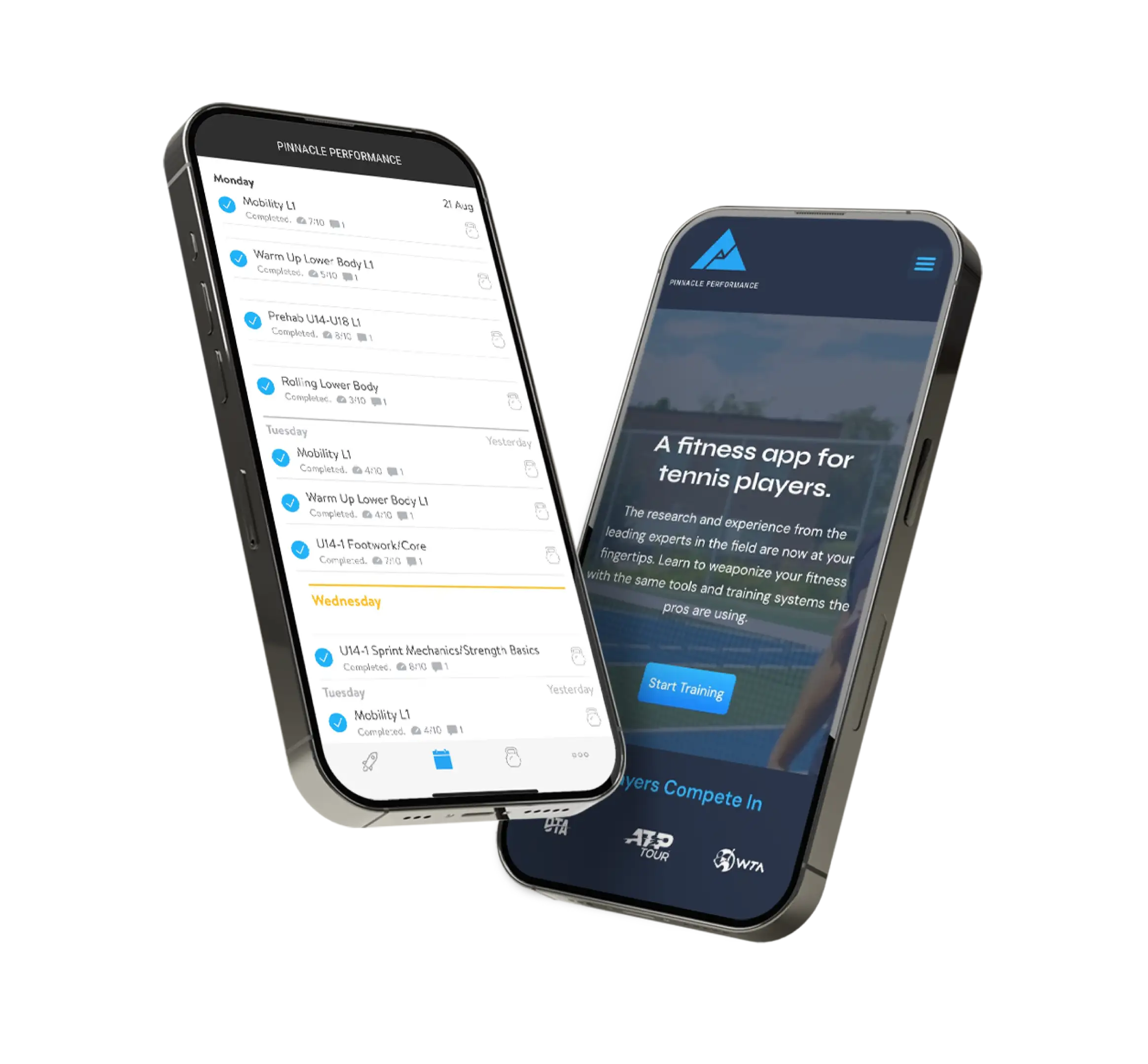Pinnacle Performance - Mobile App And Website Responsive Mockup