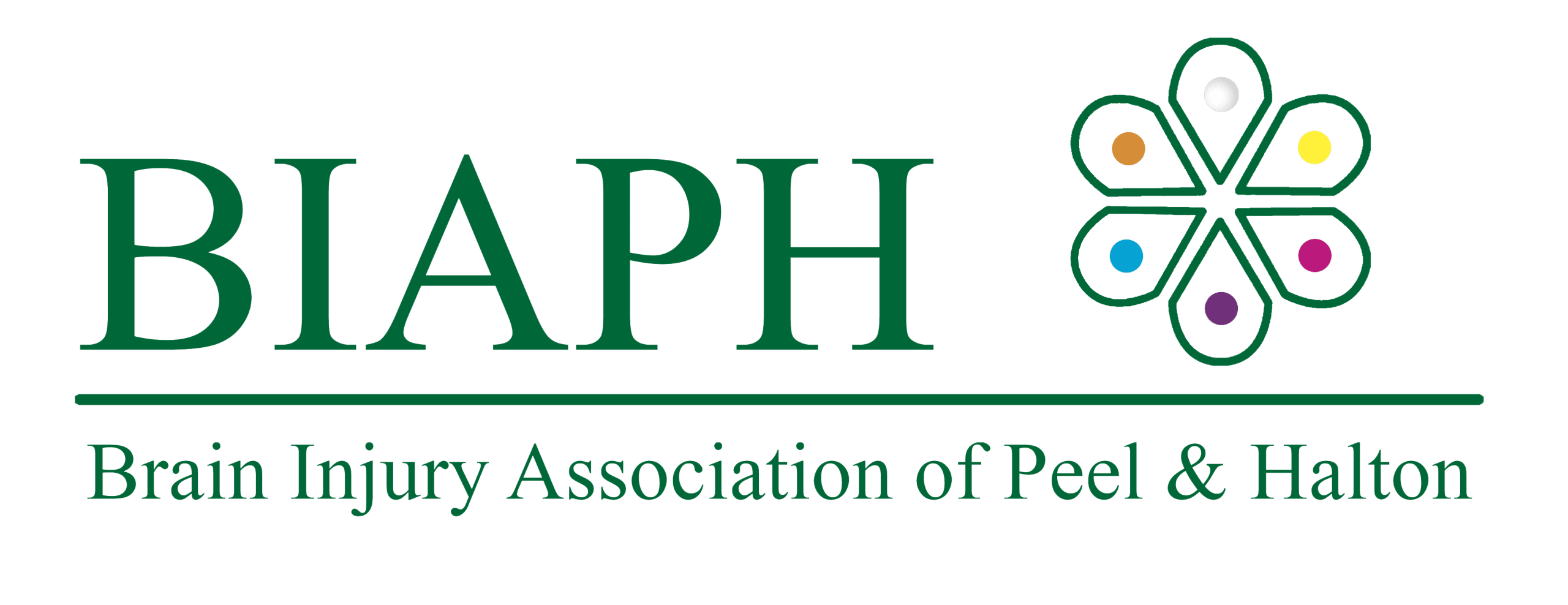 Orthoplex Solutions, web and app development company, working with the Brain Injury Association of Peel and Halton (BIAPH).